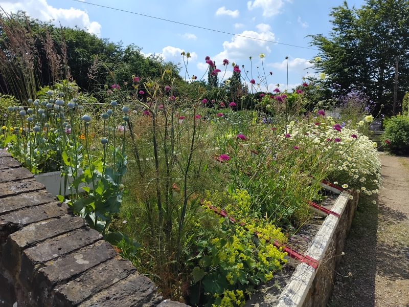 Stud Nursery Community Garden